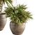 Tropical Bush in Vintage Pot - Indoor Plant Set 3D model small image 4