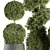 Outdoor Greenery Set: Topiary Plant & Bush 3D model small image 2