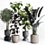 Natural Greenery Collection: Ficus Rubber Tree Pot 3D model small image 4