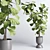Natural Greenery Collection: Ficus Rubber Tree Pot 3D model small image 5