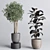 Natural Greenery Collection: Ficus Rubber Tree Pot 3D model small image 2