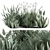 Aloevera Mixed Plant Set 3D model small image 1