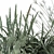 Aloevera Mixed Plant Set 3D model small image 4