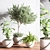 Indoor Oasis Plant Set 3D model small image 4