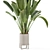 Ferm Living Bau Pot Large Set - Modern Indoor Plants 3D model small image 6