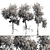 Variety Vol. 3: Three Unique Trees 3D model small image 5