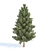 Evergreen Pine Tree Collection 3D model small image 3