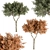 Broadleaf Tree Set - Spring, Fall, Green 3D model small image 1