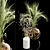 Elegant Dry Plant Set: V-Ray/Corona 3D model small image 2