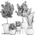 Tropical Loft Plant Collection 3D model small image 7