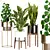 Modern Indoor Plant Collection 3D model small image 1