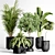 Indoor Plant Collection: 36 Varieties 3D model small image 2