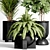 Indoor Plant Collection: 36 Varieties 3D model small image 3