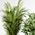 Indoor Plant Collection: 36 Varieties 3D model small image 5