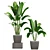 Premium Plant Collection 3D model small image 1