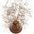 Elegant Dry Flowers Arrangement 3D model small image 3