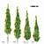 Variety of Poplar Trees for Landscaping 3D model small image 1