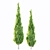 Variety of Poplar Trees for Landscaping 3D model small image 2