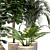 Green Oasis: Indoor Plant Set 3D model small image 3