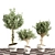 Versatile Indoor Plant - Modern Design 3D model small image 2