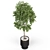 Enchanting Plant Collection 631 3D model small image 3