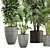  Lush Green Indoor Plant Set 3D model small image 2