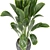 Botanical Bliss: Indoor Plants Collection 3D model small image 3