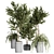 Indoor Plant Collection 38 3D model small image 1