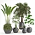 Tropical Oasis: 5 Indoor Plants 3D model small image 1