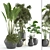 Tropical Oasis: 5 Indoor Plants 3D model small image 2