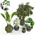 Tropical Oasis: 5 Indoor Plants 3D model small image 3