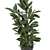 Lush Indoor Plants Collection - Set 220 3D model small image 3