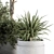 Gray Pot Indoor Plant Set 3D model small image 4