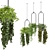 Lush Indoor Hanging Plant Set 3D model small image 1
