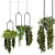 Lush Indoor Hanging Plant Set 3D model small image 2