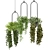 Lush Indoor Hanging Plant Set 3D model small image 3
