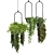 Lush Indoor Hanging Plant Set 3D model small image 4