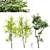 Hazel Spring Tree Collection 3D model small image 1