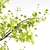 Hazel Spring Tree Collection 3D model small image 3