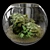 Miniature Botanical Oasis: Terrarium Plants Collection 3D model small image 2