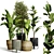 Indoor Plant Collection - 40 Varieties 3D model small image 1
