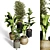 Indoor Plant Collection - 40 Varieties 3D model small image 2
