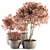 Pink & Concrete Outdoor Plant Set 3D model small image 1