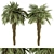 Palm Date Tree Set - Fluffy Bark 3D model small image 4