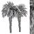 Palm Date Tree Set - Fluffy Bark 3D model small image 5