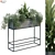 GreeneryBox: Interior Plant Set 3D model small image 1