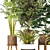 Green Haven Indoor Plant Set 3D model small image 3