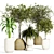 Urban Jungle Indoor Plant Collection 3D model small image 1