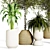 Urban Jungle Indoor Plant Collection 3D model small image 3