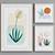 Minimalist Plant Picture Frame Set 3D model small image 2